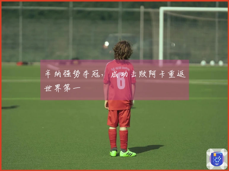 辛纳强势夺冠，成功击败阿卡重返世界第一
